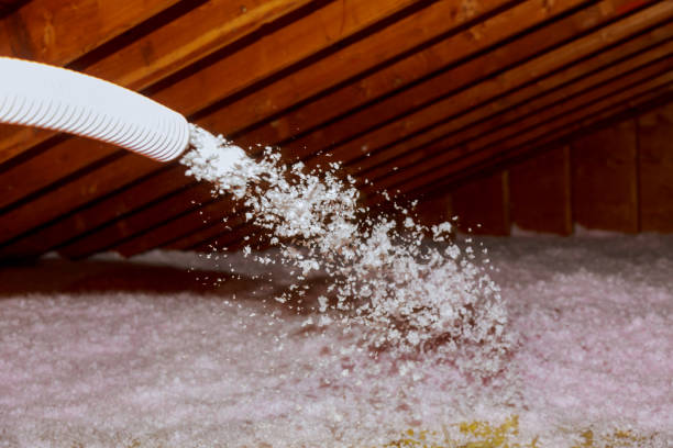 Best Attic Insulation Installation  in Burtonsville, MD